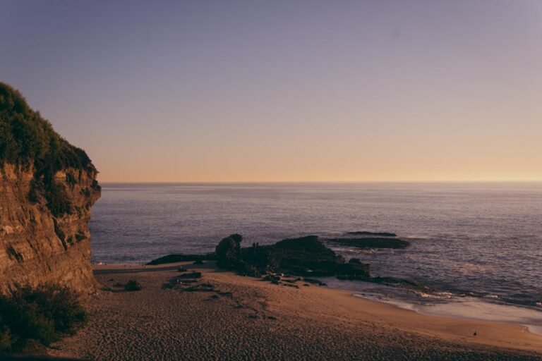 Moving to San Diego: 5 Things You NEED to Know [2024]