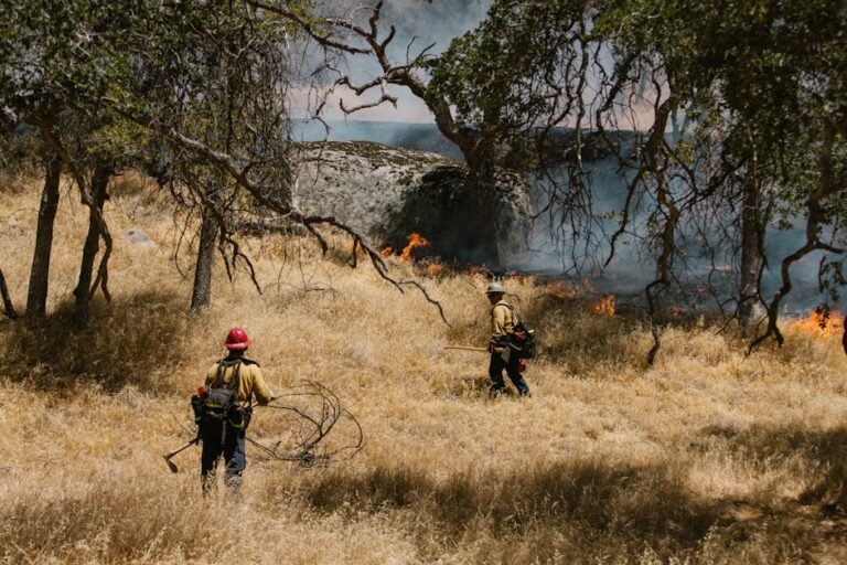 Explosive Fire Suppression: New Tech vs. Wildfire Reality in California