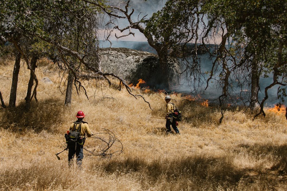 Explosive Fire Suppression: New Tech vs. Wildfire Reality in California