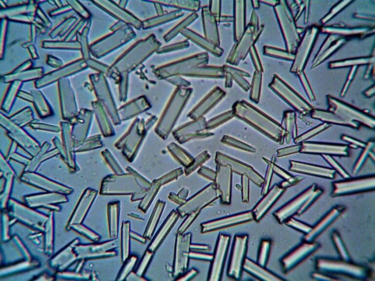 Exploring the Island of Stability: Superheavy Elements and the Future of Chemistry