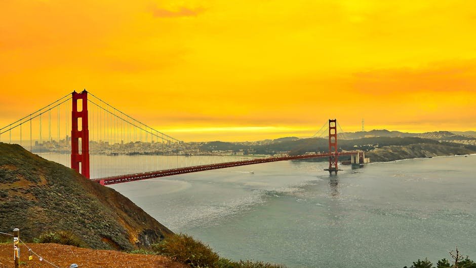 California: A Premier Global Destination Driving Innovation and Tourism Growth