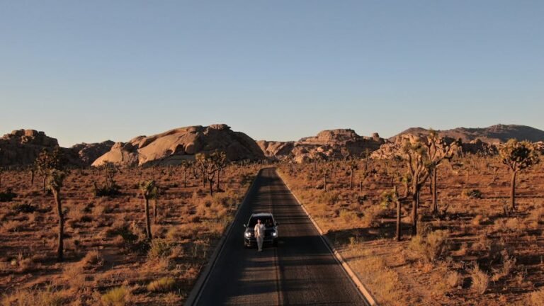 Unlock Your Best California Trip: Mastering Travel Psychology & Influence