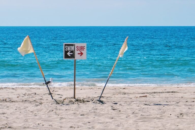 Diving Deep: Exploring California's Beach Film Culture Through the Enduring Legacy of Jaws