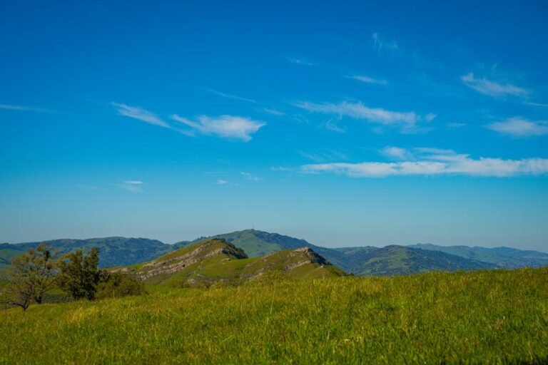 Explore Mount Wallace California: Hike a Peak Honoring a Scientific Pioneer