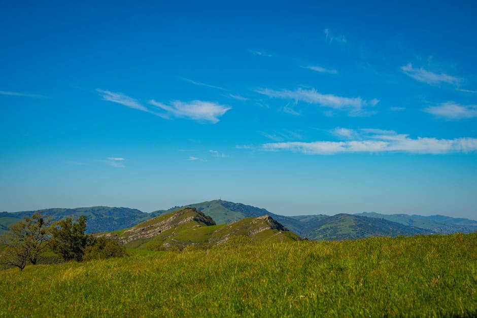 Explore Mount Wallace California: Hike a Peak Honoring a Scientific Pioneer