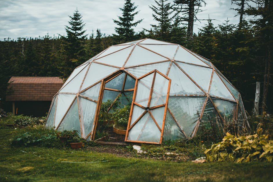 Sustainable Living California: Embracing Permaculture for Eco-Travel & Home