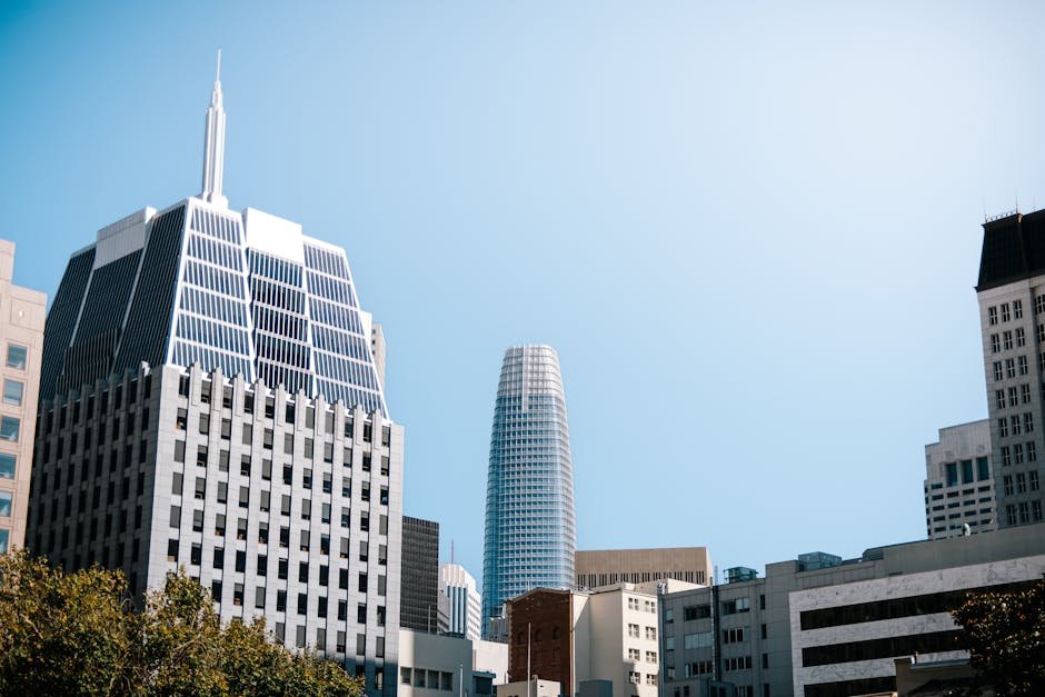 California's Innovation Blueprint: Lessons from Tech Pioneers Like Valve