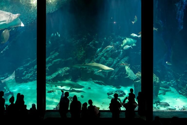 From Humble Beginnings to Billions: The Real Shark Tank Investors Net Worth and Success Stories