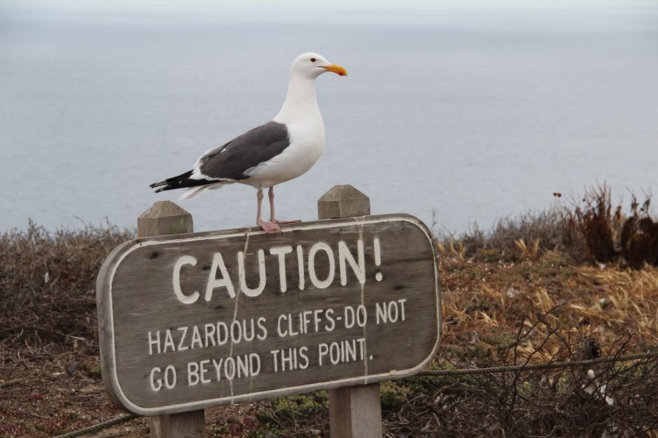 California Coastal Safety: Unveiling the Paradox of Beauty & Hidden Dangers